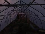 2026-03-26 06:00