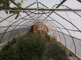 2026-05-14 14:00