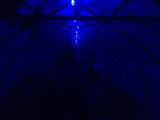 2026-05-15 20:00