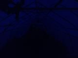 2026-05-19 20:00