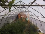 2026-05-20 14:00
