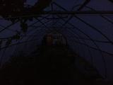 2026-05-27 20:00