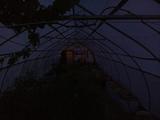 2026-05-29 20:00