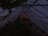 2026-06-01 20:00