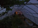 2026-06-05 20:00