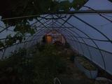 2026-06-06 20:00