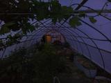 2026-06-07 20:00