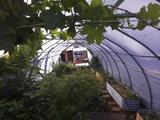 2026-06-20 08:00