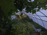 2026-07-10 20:00