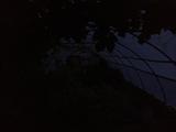 2026-07-12 20:00