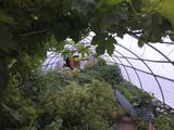 2026-07-18 14:00