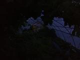 2026-07-19 20:00