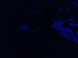 2026-07-25 20:00