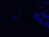 2026-07-26 20:00