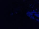 2026-07-29 20:00