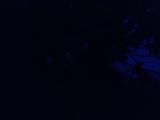 2026-07-31 20:00