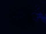 2026-08-01 20:00