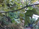 2026-09-20 14:00