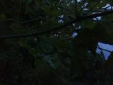 2026-09-22 06:00
